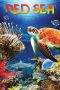 Nonton Streaming Download Drama Nonton Red Sea 2016 Sub Indo Subtitle Indonesia Nonton Streaming Download Drama Nonton Red Sea 2016 Sub Indo Subtitle Indonesia